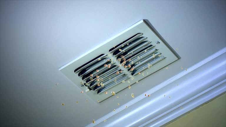 Best Affordable Air Duct Cleaning  in Cohoes, NY